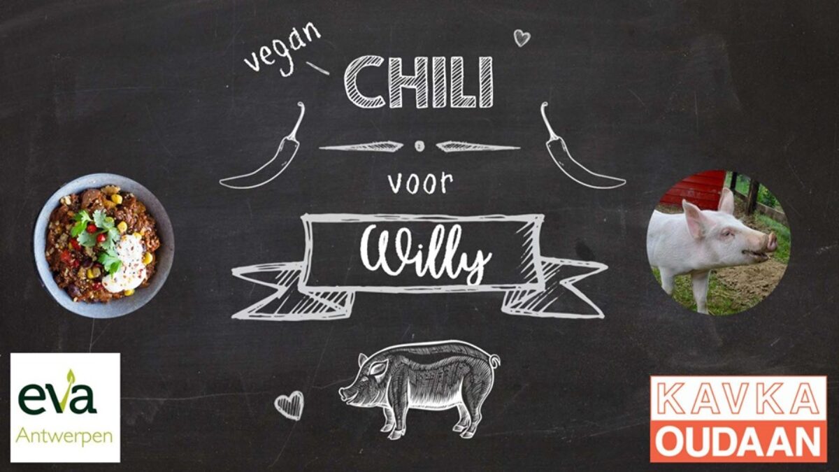 EVA Antwerpen maakt Chili voor Willy