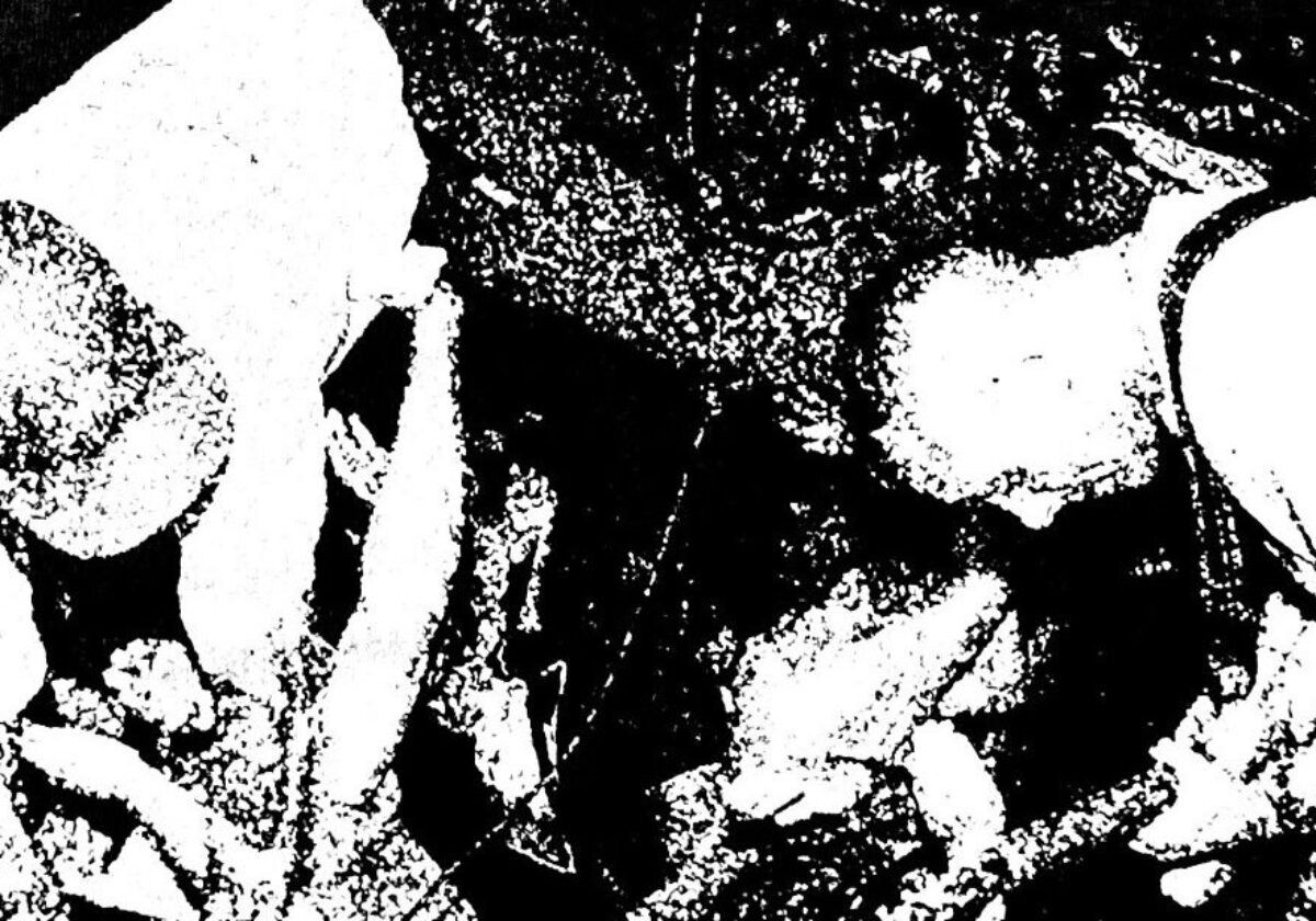 HIGH VIS + TRUE COLORS + SUPPORTS